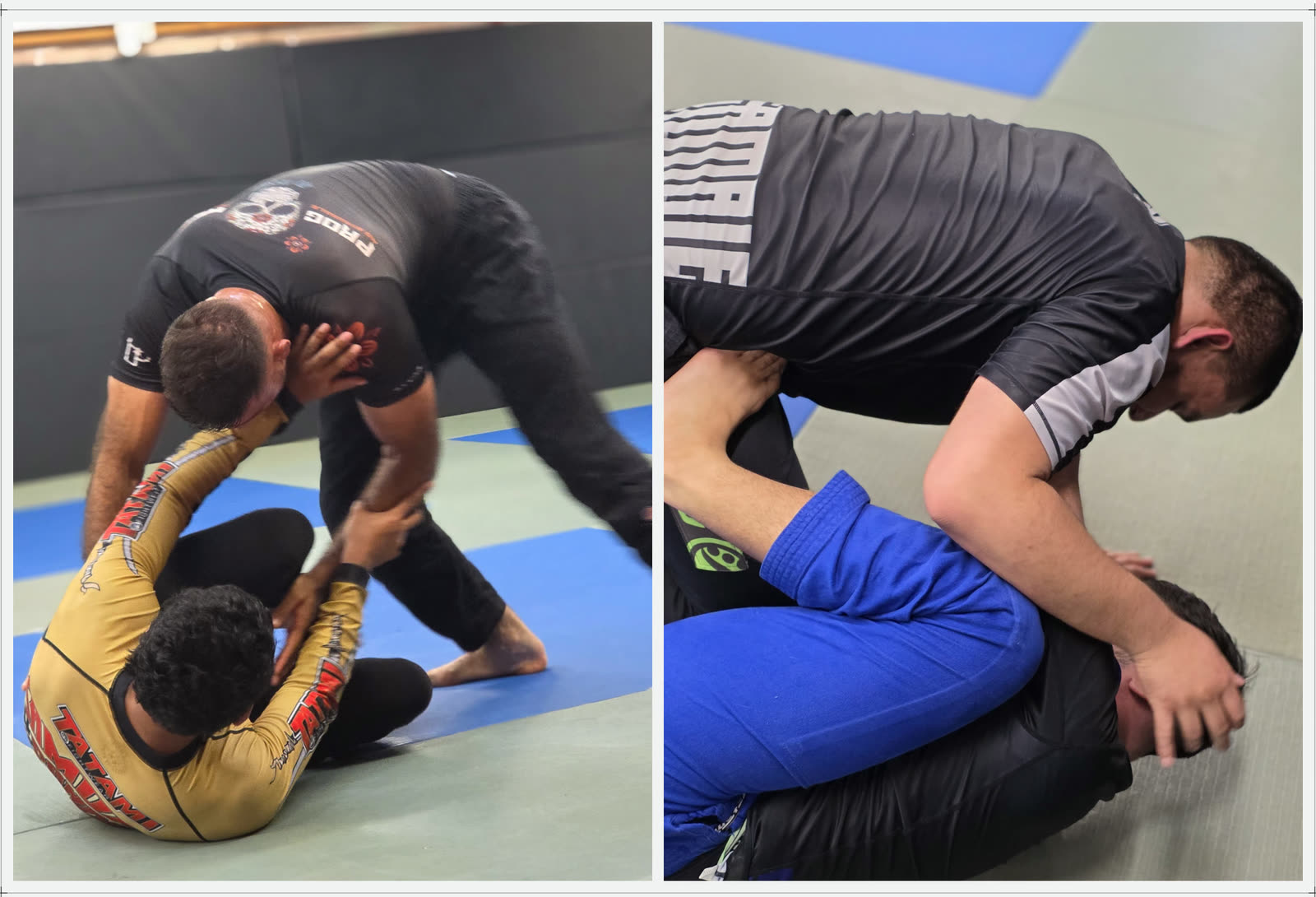 Adults training no-gi